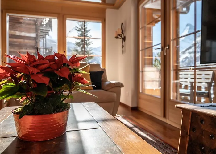 公寓 Montana 采尔马特